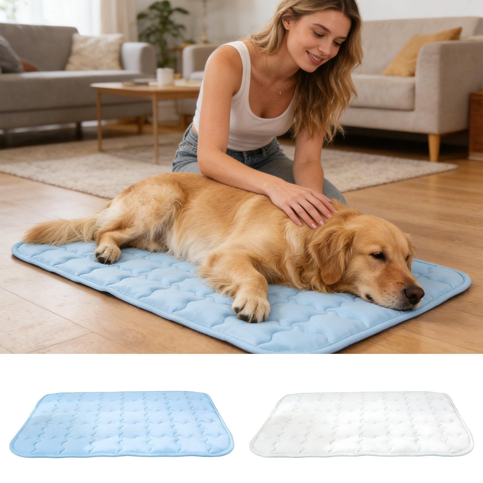 وسادة تبريد للكلاب قابلة للغسل - مراجعة Outdoor Camping Dog Bed وسعره